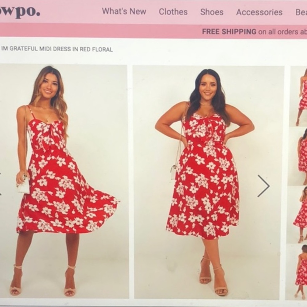 Showpo summer dress